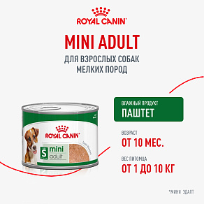 Royal Canin Mini Adult Влажный корм для взрослых собак мелких размеров от 10 месяцев