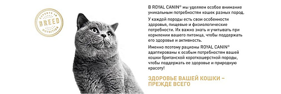 Royal Canin British Shorthair Adult Корм сухой сбалансированный для взрослых британских короткошерстных кошек