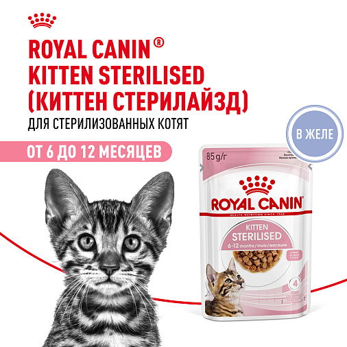 Royal Canin KITTEN STERILISED Корм консервированный полнорационный для кошек - Специально для кастрированных и стерилизованных котят (в возрасте от 6 до 12 месяцев), мелкие кусочки в желе