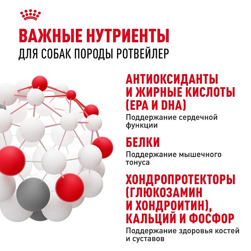 Royal Canin Rottweiler Adult Корм сухой для взрослых собак породы Ротвейлер от 18 месяцев