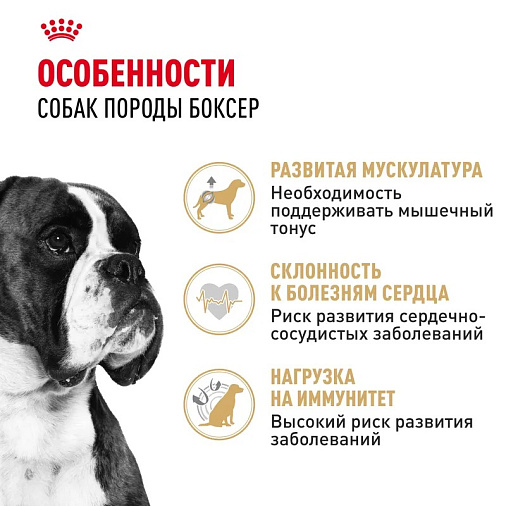 Royal Canin Boxer Adult Корм сухой для взрослых и стареющих собак породы боксер от 15 месяцев