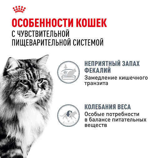 Royal Canin Digestive Care Корм консервированный полнорационный для взрослых кошек с чувствительным пищеварением, тонкие ломтики в соусе