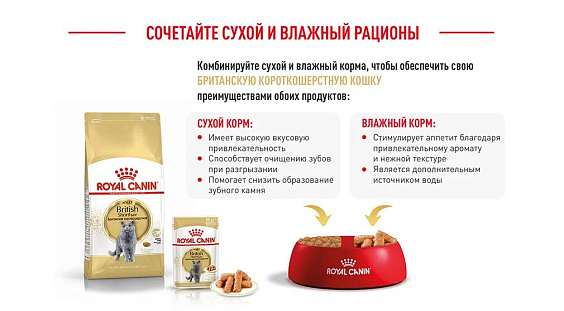 Royal Canin British Shorthair Adult Корм сухой сбалансированный для взрослых британских короткошерстных кошек
