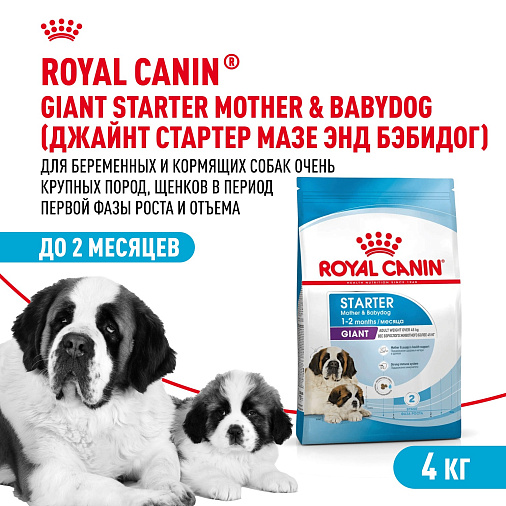 Royal Canin Giant Starter Корм сухой для щенков очень крупных размеров до 2 месяцев, беременных и кормящих сук