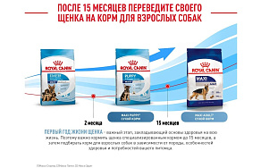 Royal Canin Maxi Starter Корм сухой для щенков крупных размеров до 2-х месяцев, беременных и кормящих сук