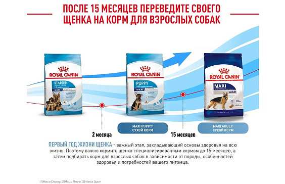 Royal Canin Maxi Starter Корм сухой для щенков крупных размеров до 2-х месяцев, беременных и кормящих сук