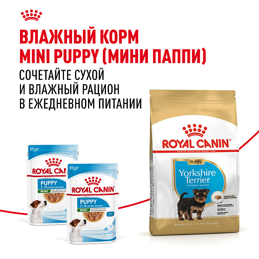 Royal Canin Yorkshire Terrier Puppy Корм сухой для щенков породы йоркширский терьер до 10 месяцев