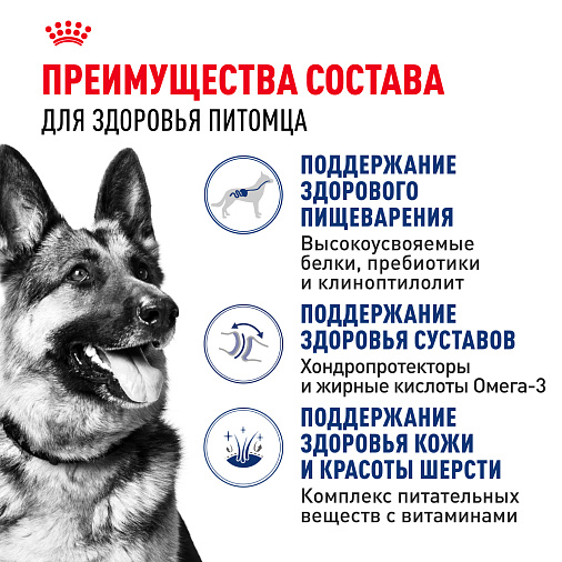 Royal Canin Maxi Adult Корм сухой для взрослых собак крупных размеров от 15 месяцев до 5 лет