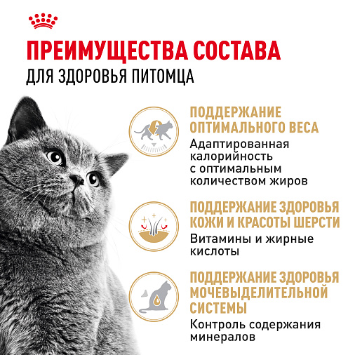 Royal Canin British Shorthair Adult Корм консервированный для взрослых британских короткошерстных кошек,соус