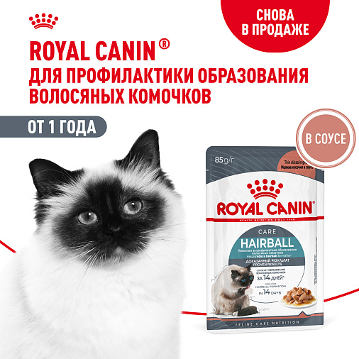 Royal Canin Корм для профилактики образования волосяных комочков у взрослых кошек (Hairball Care), мелкие кусочки в соусе