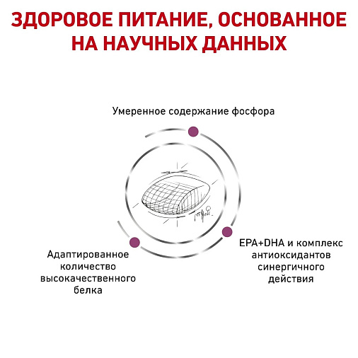 Royal Canin Early Renal Корм сухой полнорационный диетический для взрослых собак
