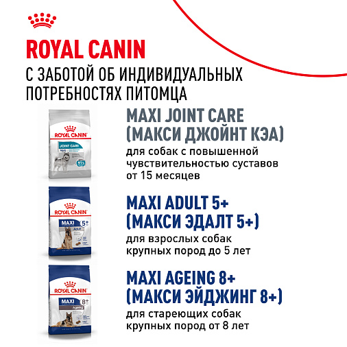 Royal Canin Maxi Adult Корм сухой для взрослых собак крупных размеров от 15 месяцев до 5 лет