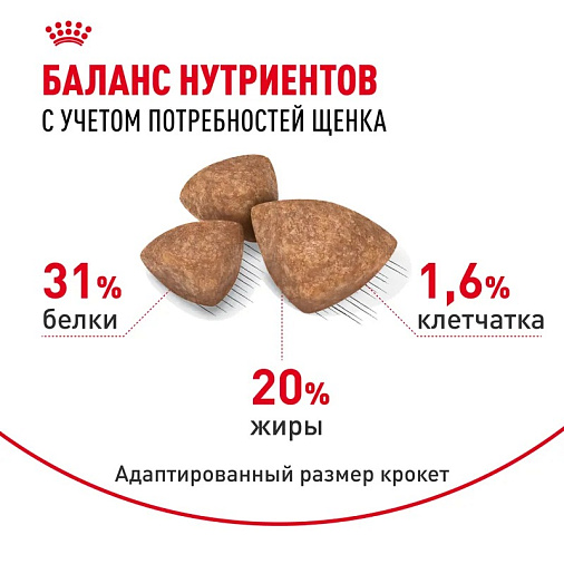 Royal Canin X-Small Puppy Корм сухой для щенков очень мелких размеров до 10 месяцев