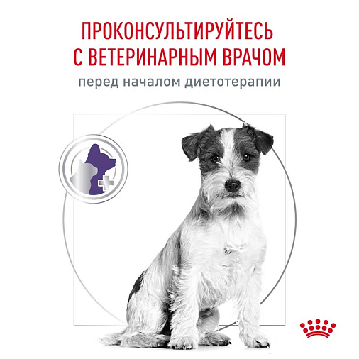 Royal Canin Neutered Adult Small Dogs (Ньютрид Эдалт Смол Догз) Корм сухой для взрослых стерилизованных/кастрированных собак мелких пород