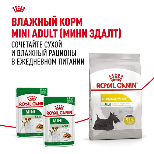 Royal Canin Mini Dermacomfort Корм сухой для взрослых собак мелких размеров при раздражениях и зуде кожи