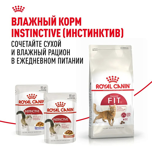 Royal Canin Fit 32 Корм сухой сбалансированный для взрослых умеренно активных кошек от 1 года