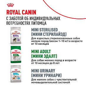Royal Canin Mini Adult 8+ для взрослых собак мелких размеров (до 10 кг) старше 8 лет