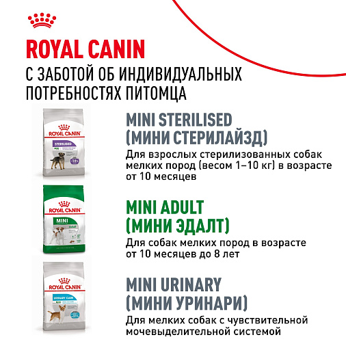 Royal Canin Mini Adult 8+ для взрослых собак мелких размеров (до 10 кг) старше 8 лет