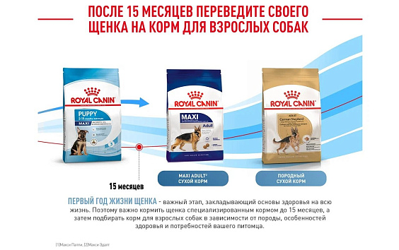 Royal Canin Maxi Puppy Корм сухой для щенков крупных размеров в возрасте до 15 месяцев