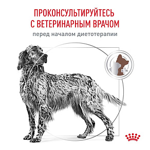 Royal Canin HEPATIC (ГЕПАТИК) Корм сухой для взрослых собак для поддержания функции печени