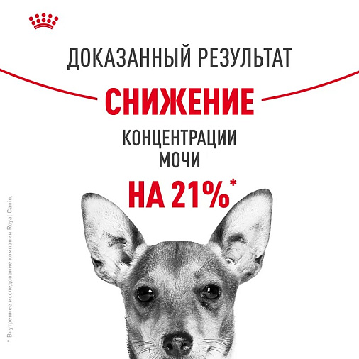 Royal Canin Mini Urinary Care Корм сухой для собак мелких размеров с чувствительной мочевыделительной системой