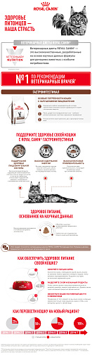 Royal Canin GASTROINTESTINAL (ГАСТРОИНТЕСТИНАЛ) Корм сухой для взрослых кошек при расстройствах пищеварения