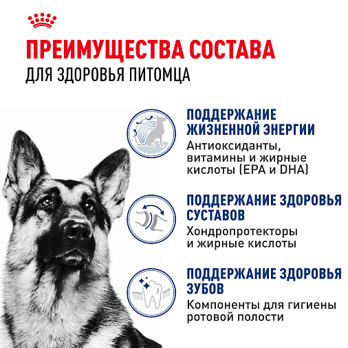 Royal Canin Maxi Adult Корм сухой для взрослых собак крупных размеров от 5 лет до 8 лет