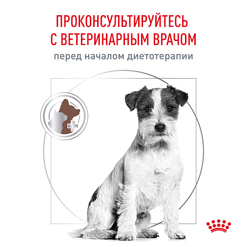 Royal Canin GASTROINTESTINAL LOW FAT SMALL DOGS (ГАСТРОИНТЕСТИНАЛ ЛОУ ФЭТ СМОЛ ДОГЗ) Корм сухой для взрослых собак мелких пород при нарушениях пищеварения