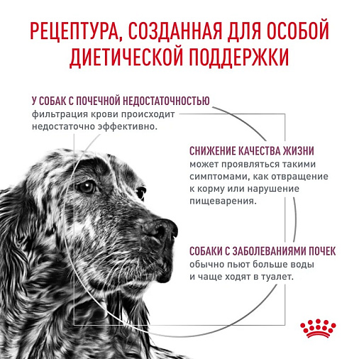Royal Canin Renal (Ренал) Корм сухой для взрослых собак для поддержания функции почек