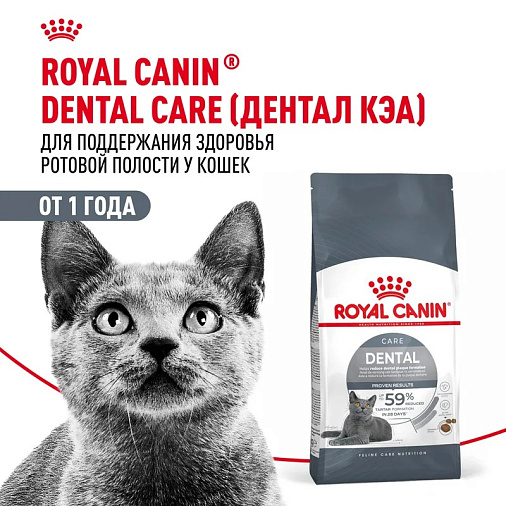 Royal Canin Dental Care Корм сухой полнорационный сбалансированный для взрослых кошек