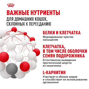 Royal Canin Indoor Appetite Control Корм сухой сбалансированный для взрослых кошек, живущих в помещении