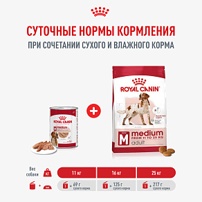 Royal Canin Medium Adult Влажный корм для взрослых собак средних размеров от 12 месяцев