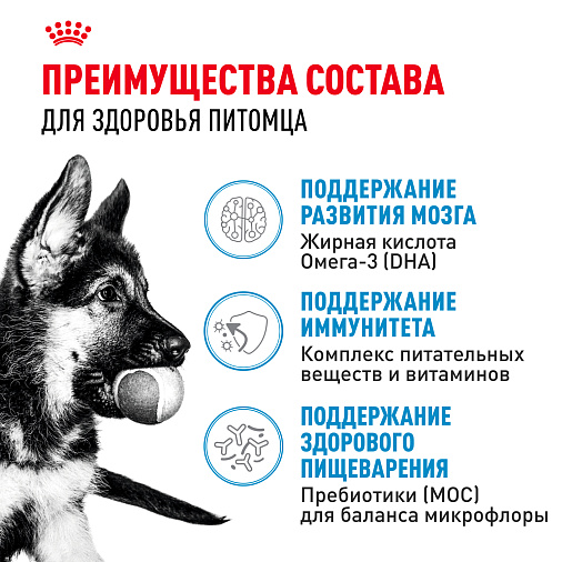 Royal Canin Maxi Puppy Корм сухой для щенков крупных размеров в возрасте до 15 месяцев