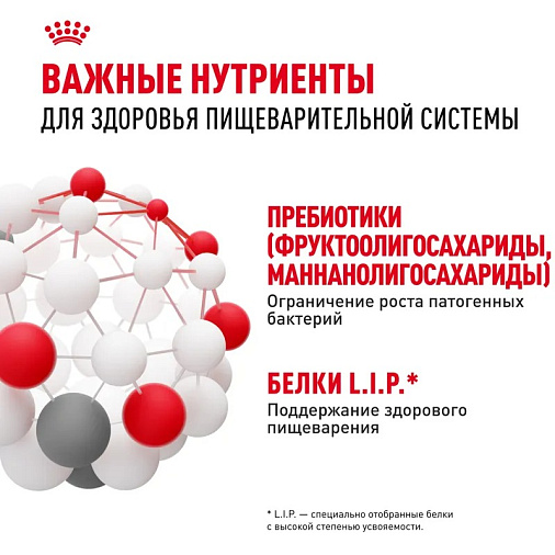 Royal Canin Medium Digestive Care Корм сухой для взрослых собак средних пород с чувствительным пищеварением