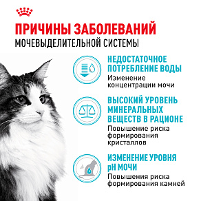 Royal Canin Urinary Care Корм сухой для взрослых кошек для поддержания здоровья мочевыделительной системы