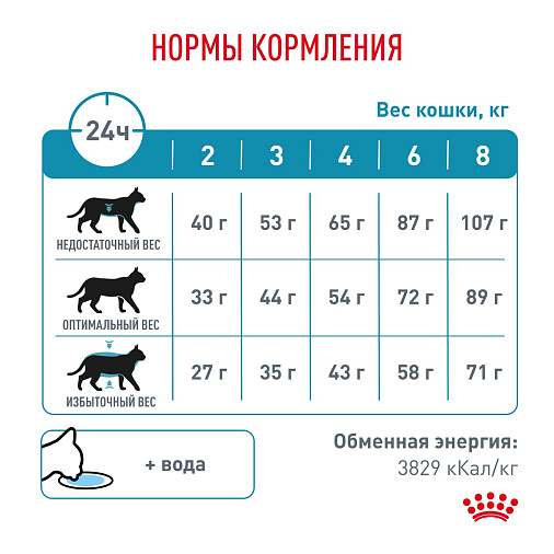 Royal Canin Skin & Coat (Скин энд Коат) Корм сухой для кошек для поддержания защитных функций кожи