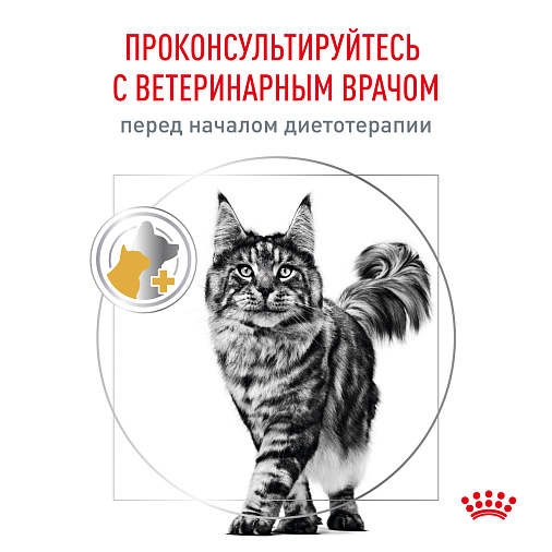 Royal Canin URINARY S/O MODERATE CALORIE (УРИНАРИ С/О МОДЕРЕЙТ КЭЛОРИ) Корм сухой для взрослых кошек, склонных к набору веса, при мочекаменной болезни