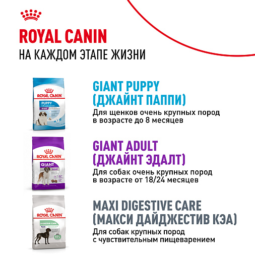 Royal Canin Giant Junior Корм сухой  для щенков очень крупных пород  в возрасте от 8 до 18/24 месяцев