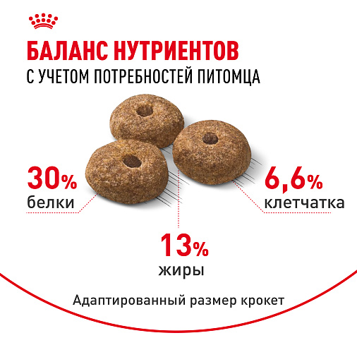Royal Canin Mini Sterilised Корм сухой для взрослых стерилизованных собак мелких размеров, склонных к набору веса