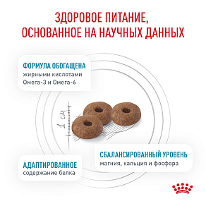 Royal Canin Skin & Coat (Скин энд Коат) Корм сухой для кошек для поддержания защитных функций кожи