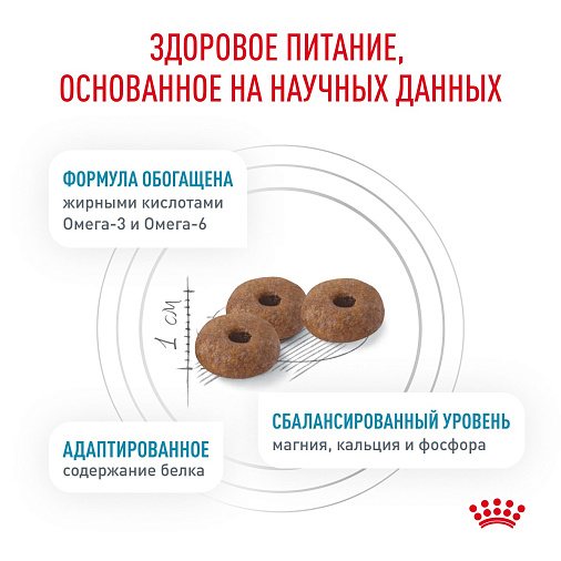 Royal Canin Skin & Coat (Скин энд Коат) Корм сухой для кошек для поддержания защитных функций кожи