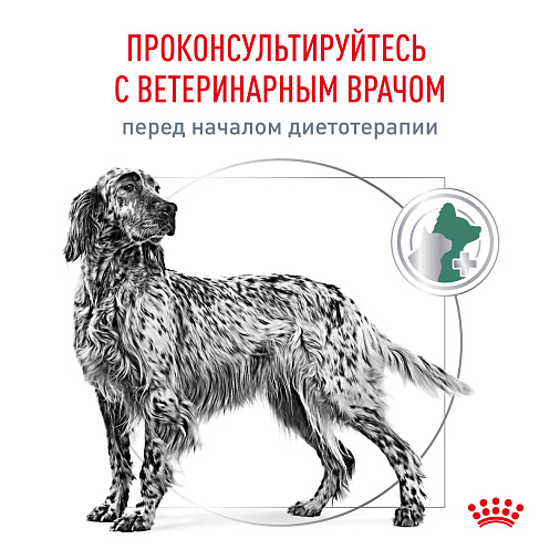 Royal Canin Diabetic (Диабетик) Корм сухой для взрослых собак при сахарном диабете