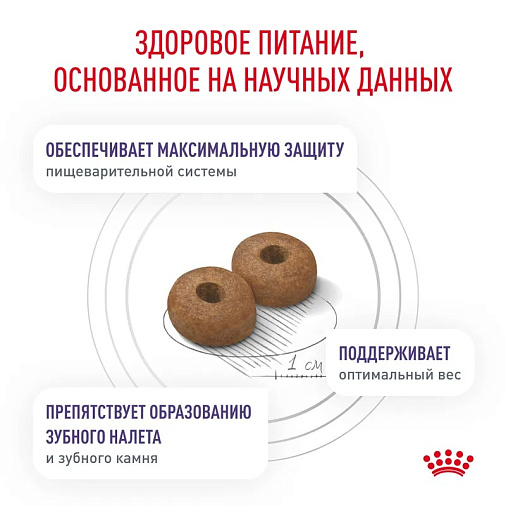 Royal Canin Neutered Adult Small Dogs (Ньютрид Эдалт Смол Догз) Корм сухой для взрослых стерилизованных/кастрированных собак мелких пород