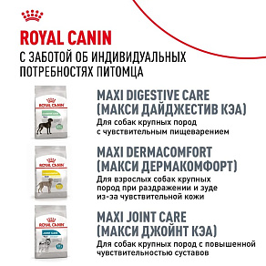 Royal Canin Labrador Retriever Adult Корм сухой для взрослых собак породы Лабрадор Ретривер от 15 месяцев