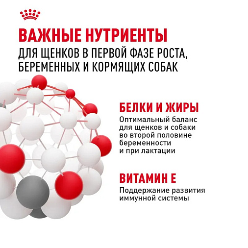 Royal Canin Medium Starter Mother&Babydog Корм сухой полнорационный для щенков средних размеров в период отъема и до 2х месяцев, беременных и кормящих сук