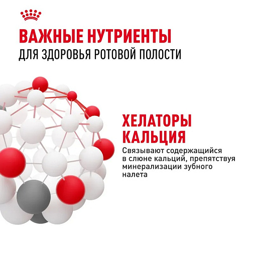 Royal Canin Dental Care Корм сухой полнорационный сбалансированный для взрослых кошек