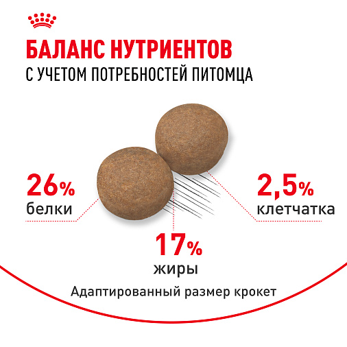 Royal Canin Maxi Adult Корм сухой для взрослых собак крупных размеров от 5 лет до 8 лет