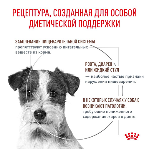 Royal Canin GASTROINTESTINAL LOW FAT SMALL DOGS (ГАСТРОИНТЕСТИНАЛ ЛОУ ФЭТ СМОЛ ДОГЗ) Корм сухой для взрослых собак мелких пород при нарушениях пищеварения