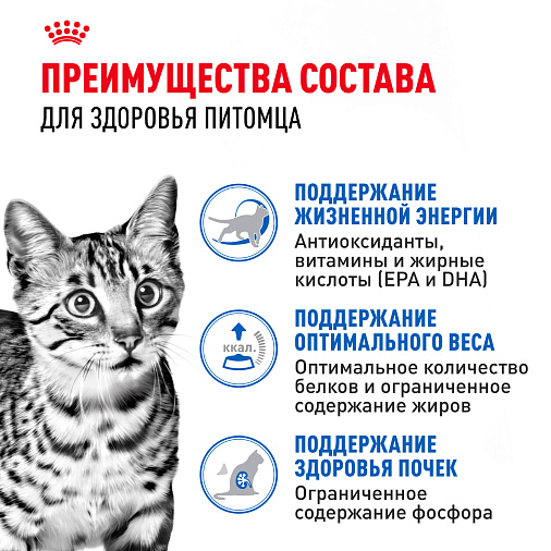 Royal Canin INDOOR STERILISED 7+ Корм консервированный полнорационный для кошек (в возрасте от 7 до 12 лет), живущих в помещении (мелкие кусочки в соусе)