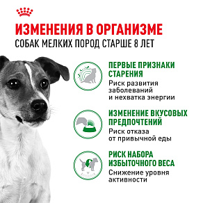 Royal Canin Mini Adult 8+ для взрослых собак мелких размеров (до 10 кг) старше 8 лет